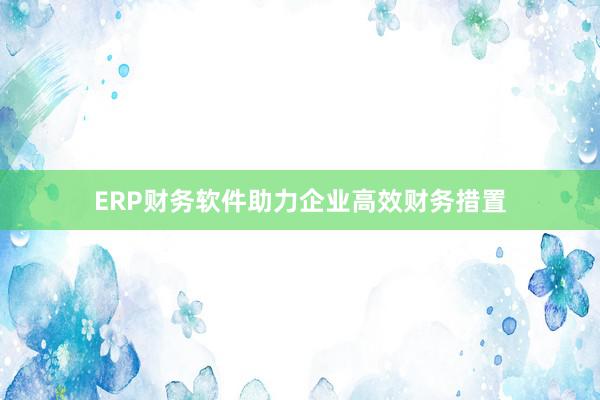 ERP财务软件助力企业高效财务措置